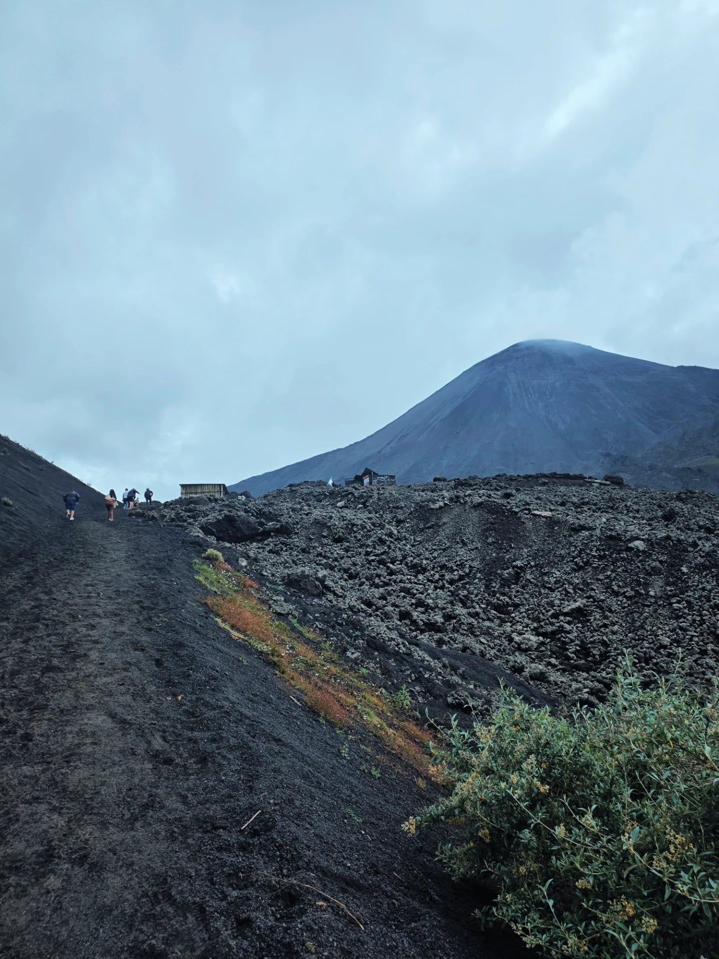 Pacaya Volcano view