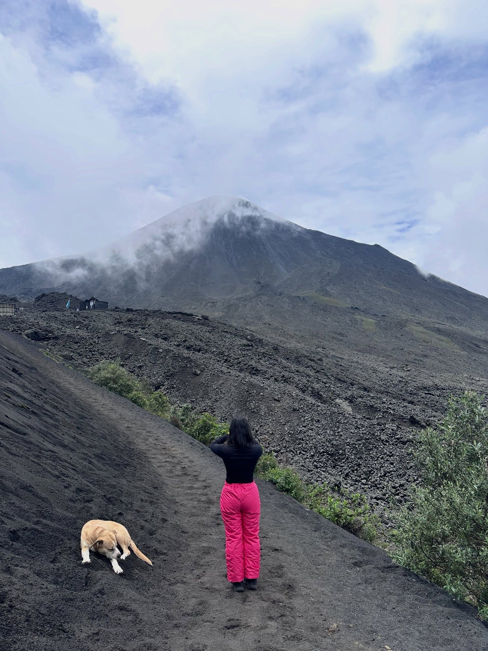 Pacaya Volcano tour visitor photo